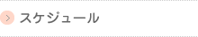 スケジュール